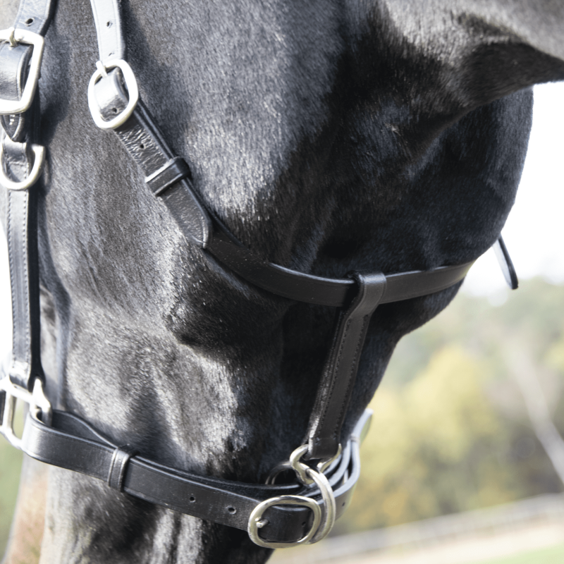Hacking Bridle SOLIBEL