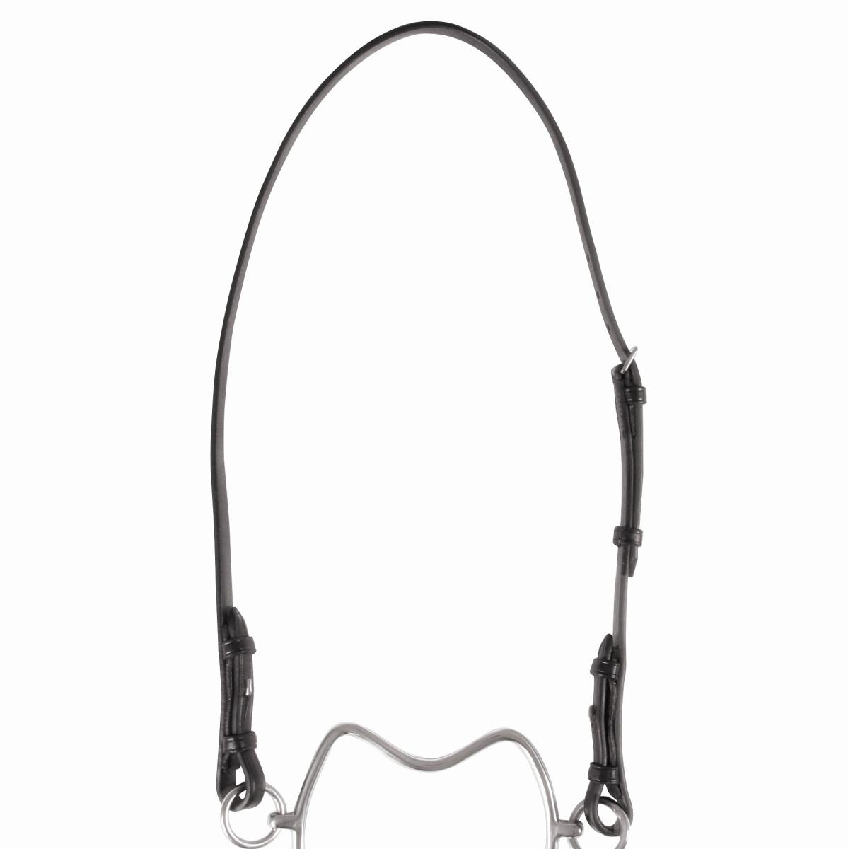 Waldhausen Head strap for chifney bit