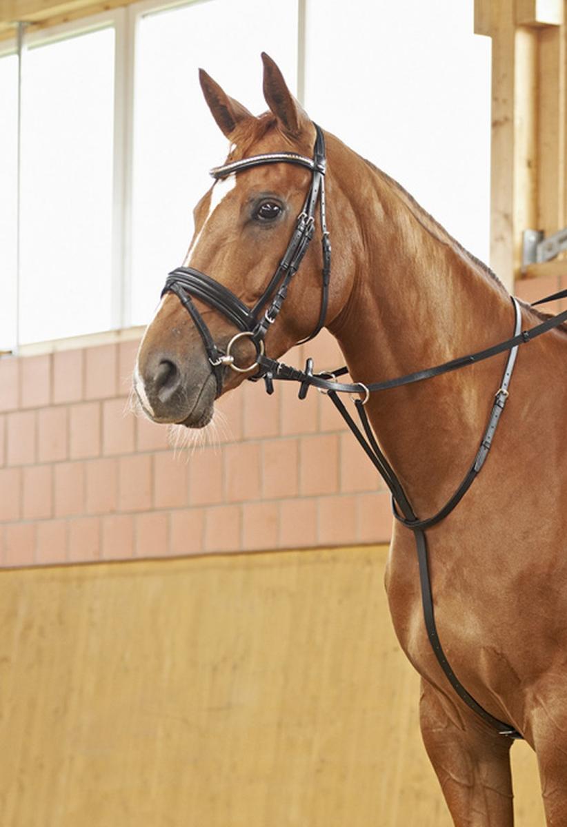 Busse Martingal SOLIBEL mit Edelstahlbeschläge