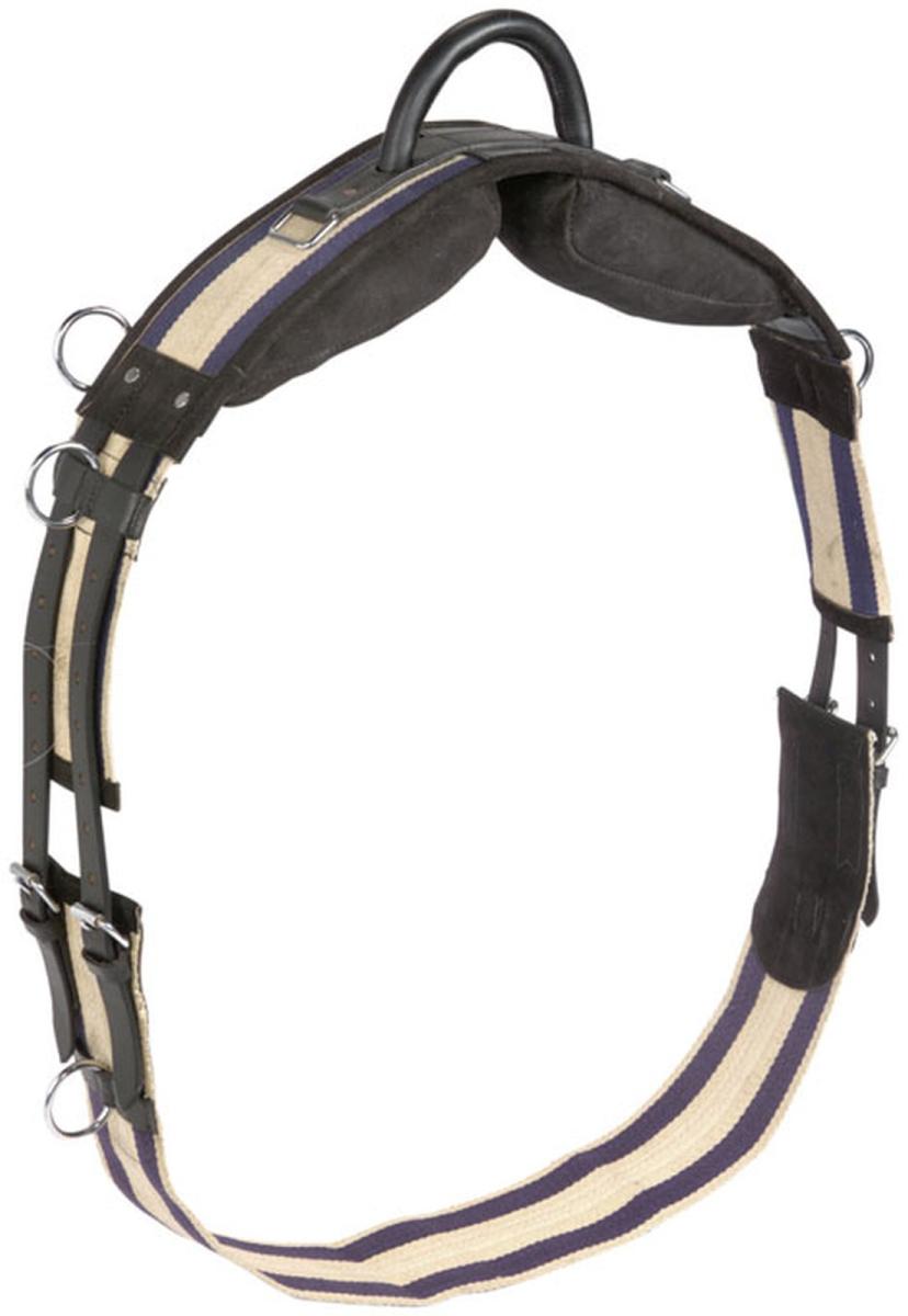 Busse Longiergurt mit Handgriff