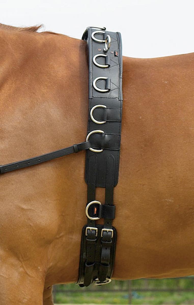 Training Roller PROFESSIONAL-LEDER