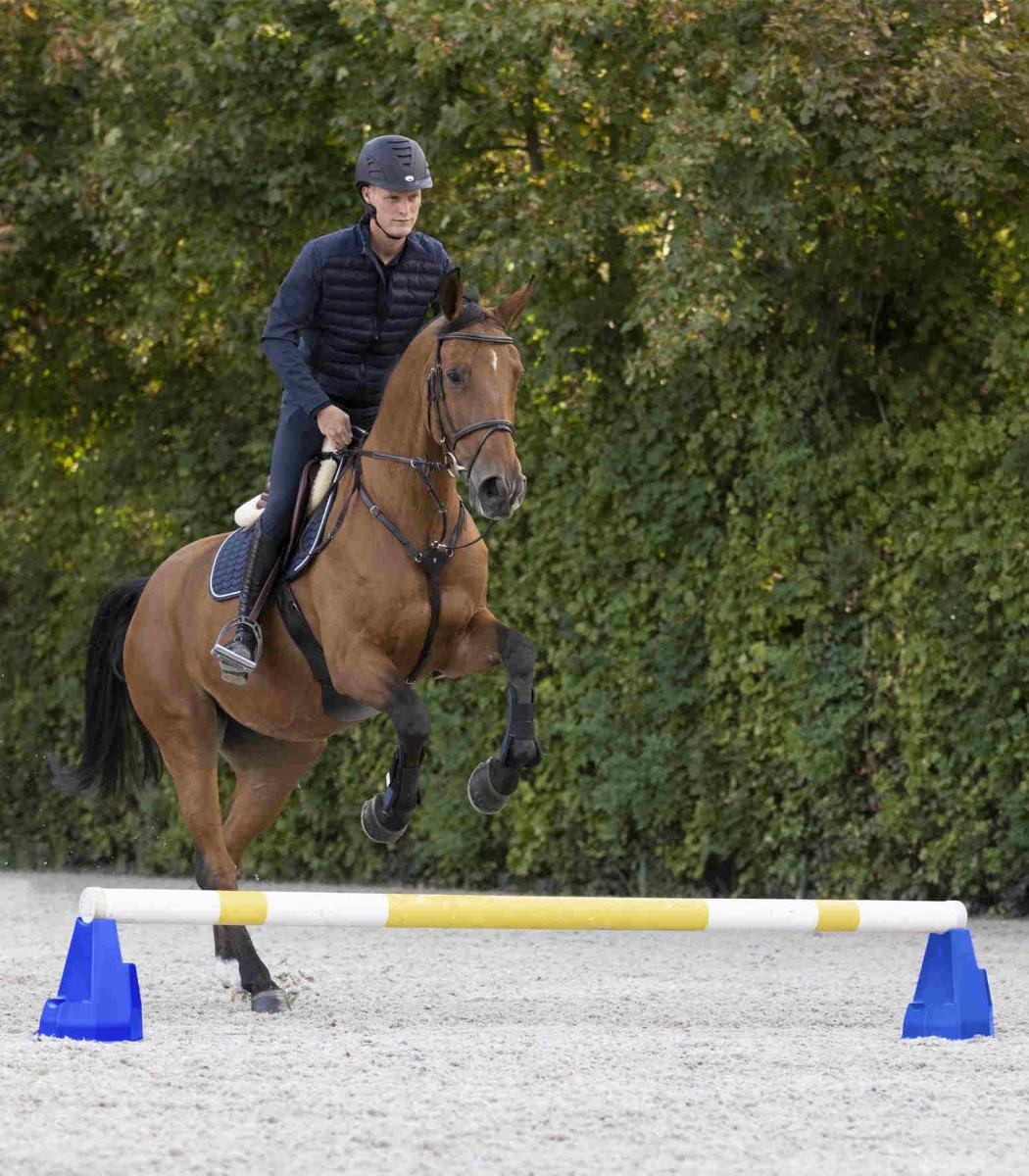 Waldhausen Cavaletti-Block, 1 Stück