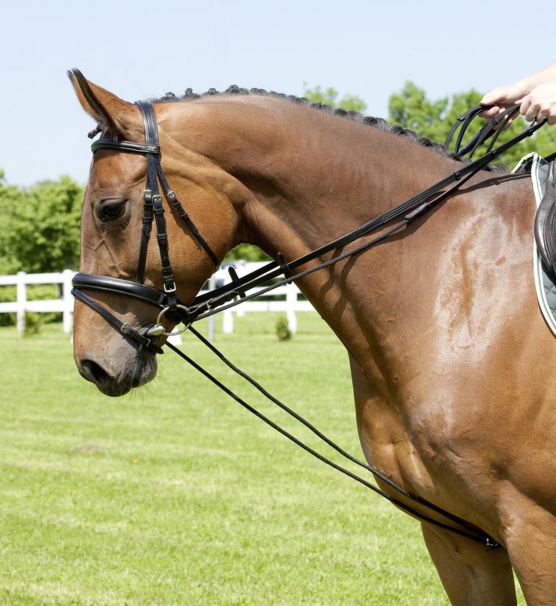 USG STS Roller System, Ausbildungssystem