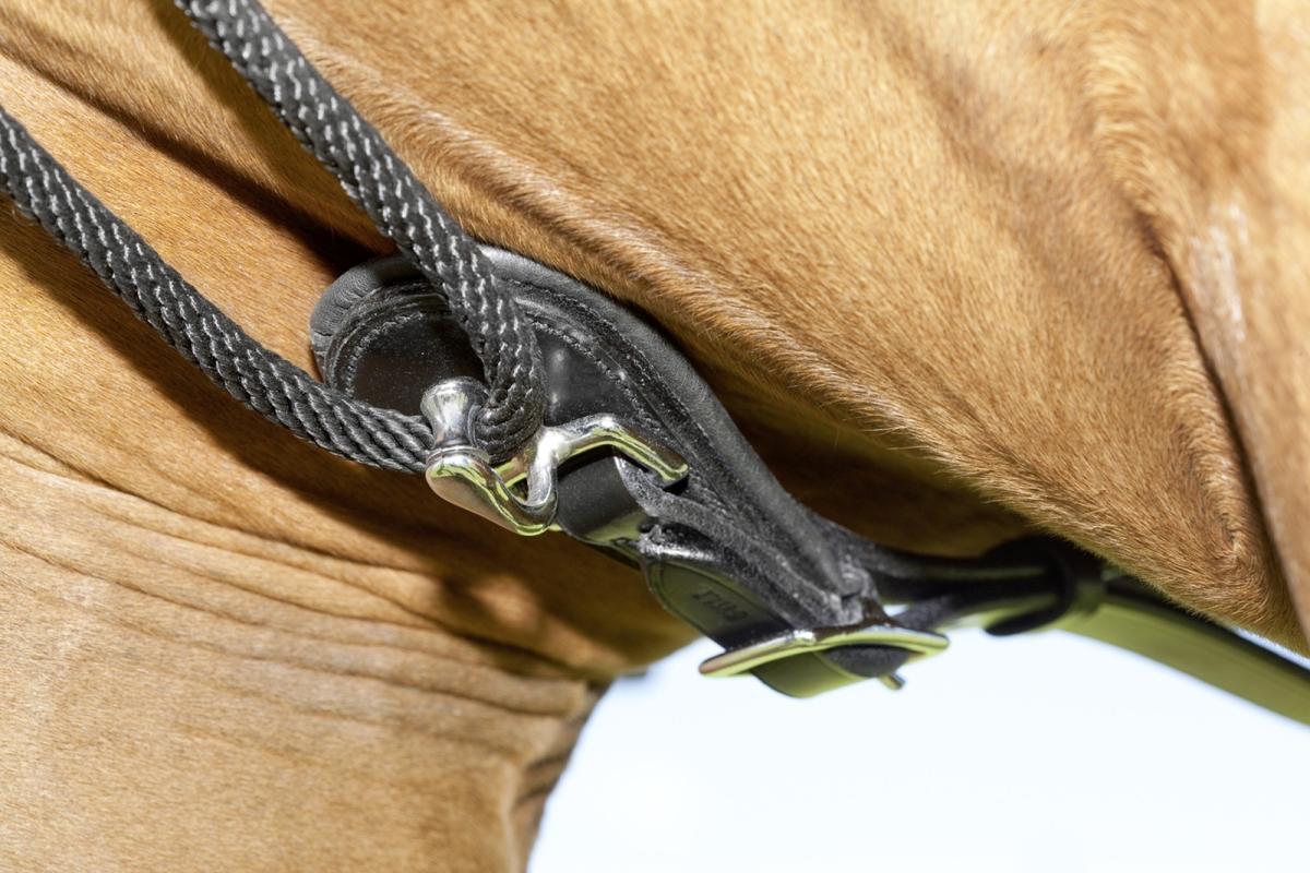 USG STS Roller System, Ausbildungssystem