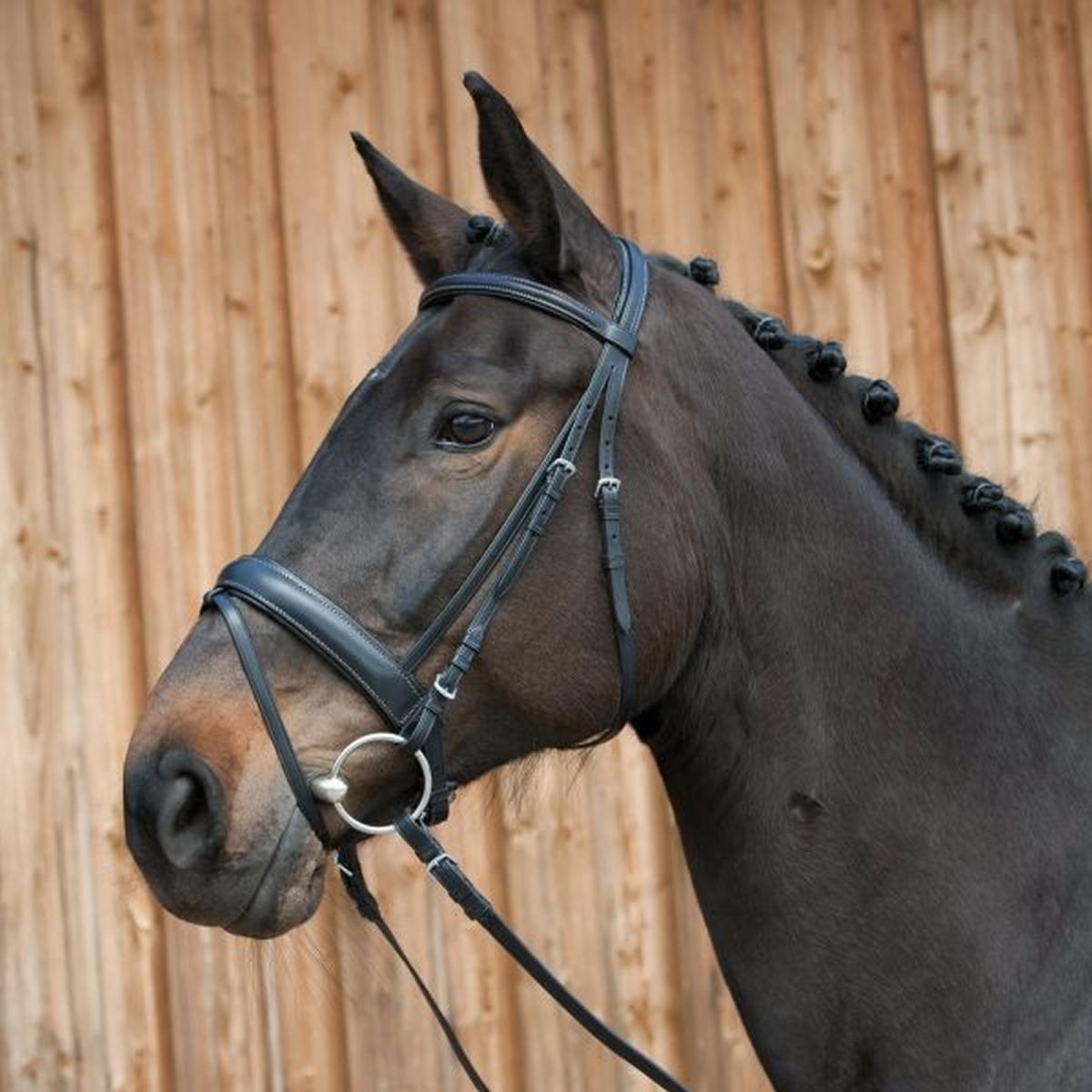 Kieffer Snaffle Bridle " ERGONOMIC LINE III  " , Crank flash