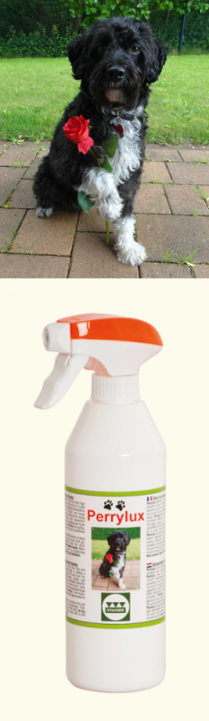 Stassek Perrylux Schönheits- und Entfilzungsspray, 450 ml Flasche