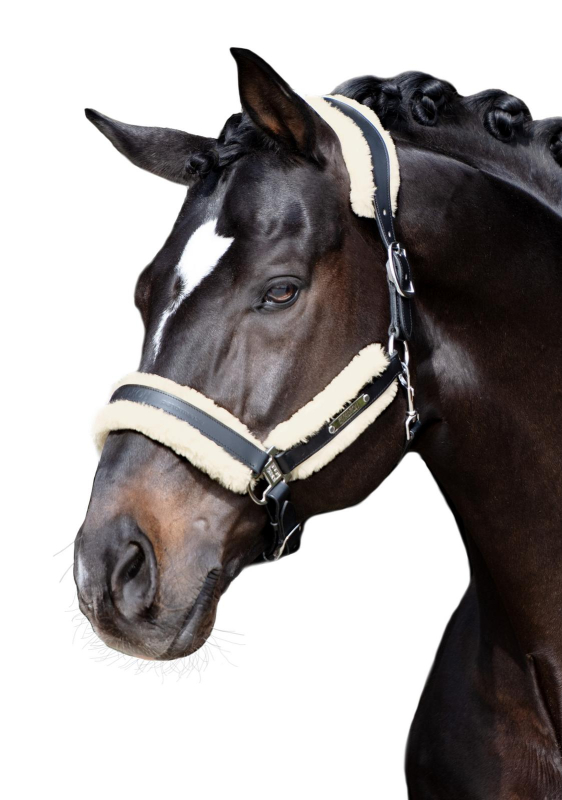 Eskadron Padding Faux Fur Set " STALLION "