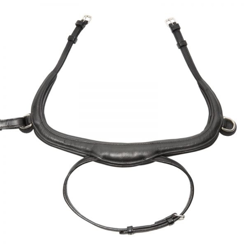 Kieffer Bridle Ultrasoft© KI_Amy