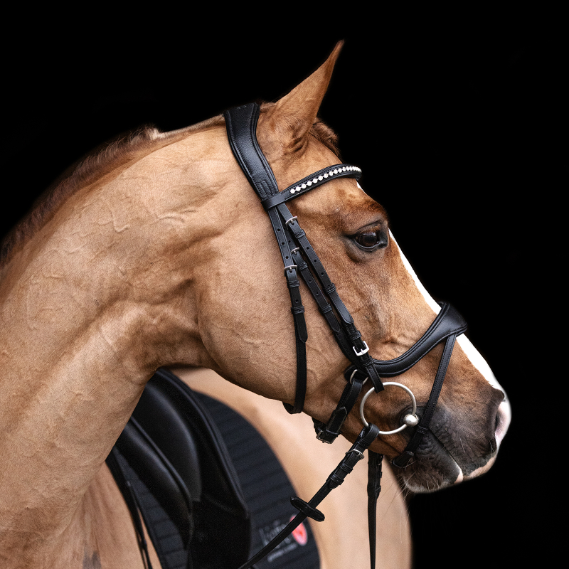 Kieffer Bridle Ultrasoft© KI_Amy