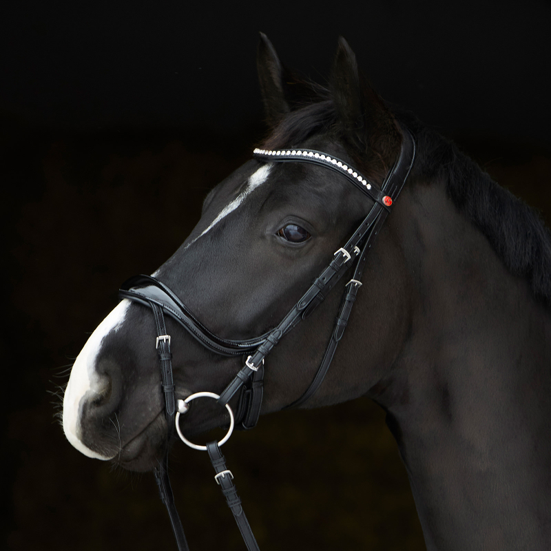 Kieffer Bridle Ultrasoft© Amy SHINE