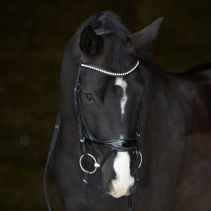 Kieffer Bridle Ultrasoft© Amy SHINE