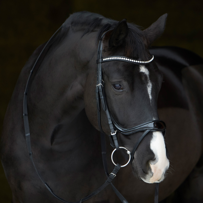 Kieffer Bridle Ultrasoft© Amy SHINE