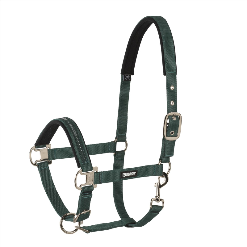 Eskadron Halfter mit Dornschnalle, racinggreen, blackberry, ice, powderrose