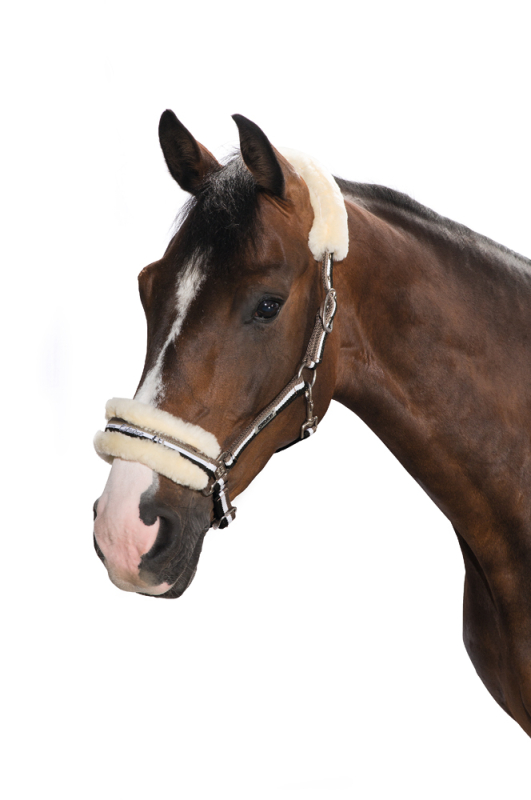 Eskadron Headcollar LAMBSKIN PIN BUCKLE