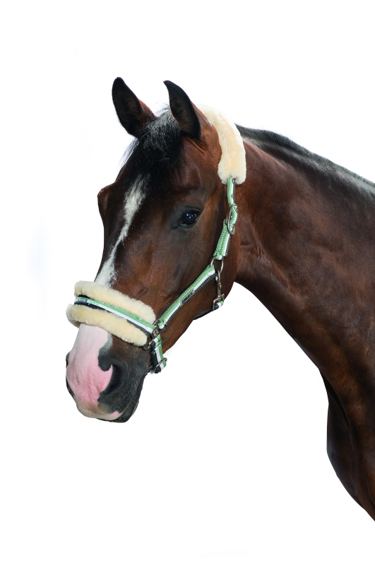 Eskadron Headcollar LAMBSKIN PIN BUCKLE