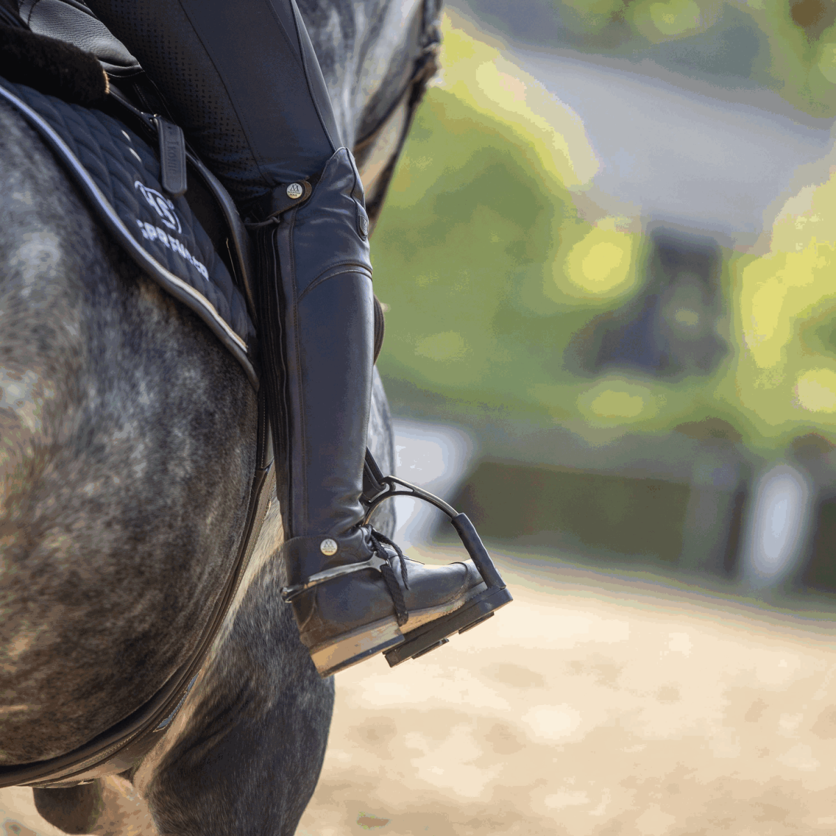 Sprenger Bow Balance Steigbügel -  Edelstahl rostfrei anthrazit, 120mm Trittfläche, 1 Paar