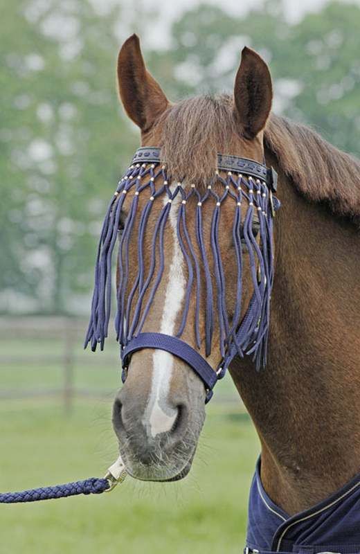 Flystring Browband EXKLUSIV