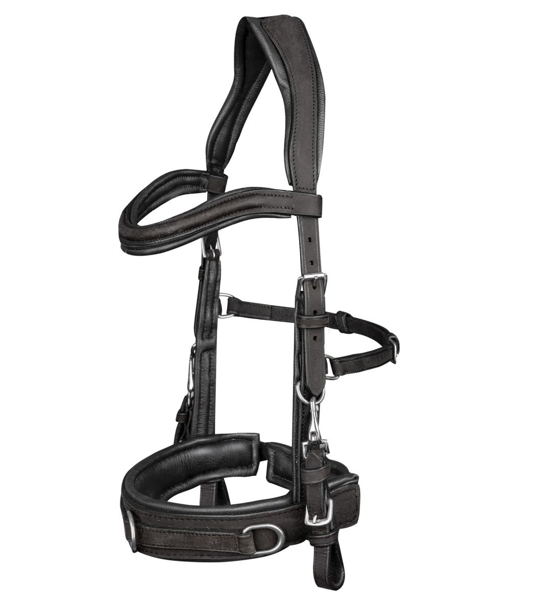 Waldhausen Anatomical Cavesson