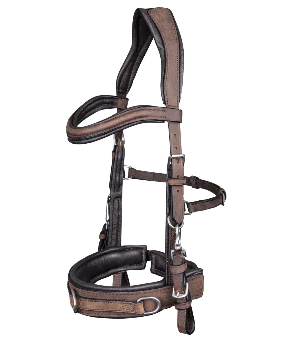 Waldhausen Anatomical Cavesson