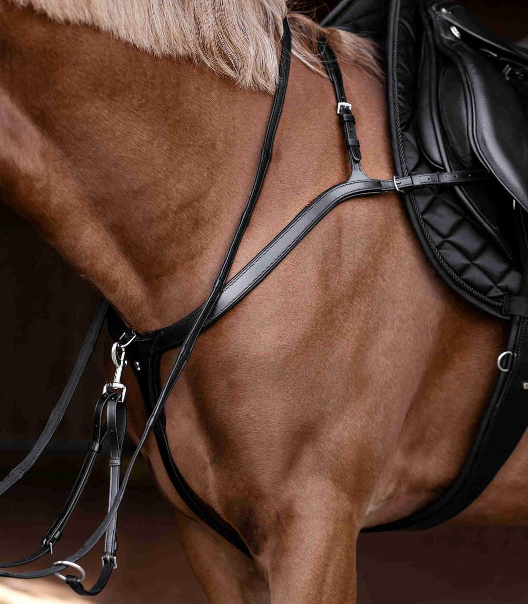 Waldhausen X-Line Zaum breastplate with long bridge