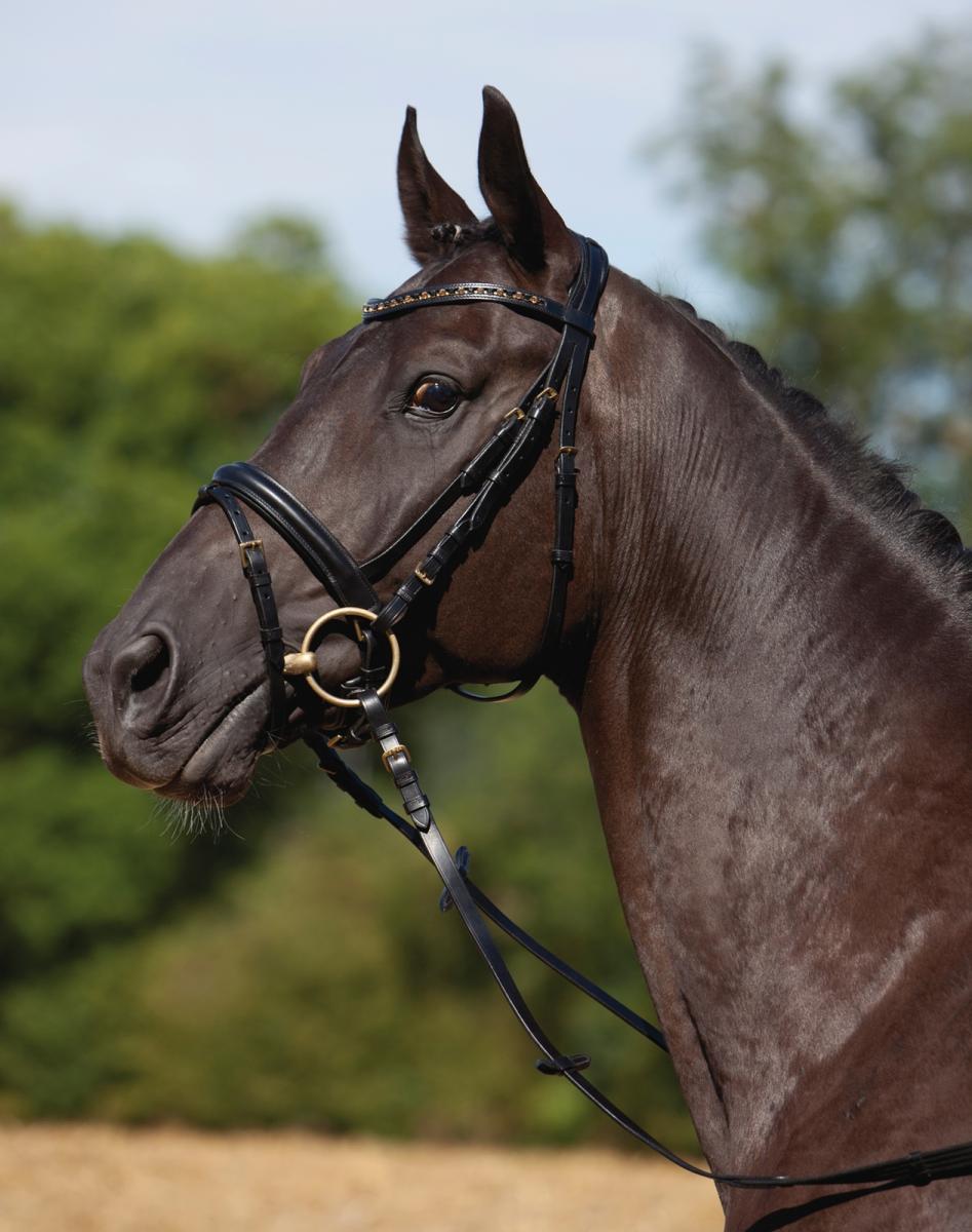 Kieffer Snaffle Bridle " Comfort VERONA " , crank flash