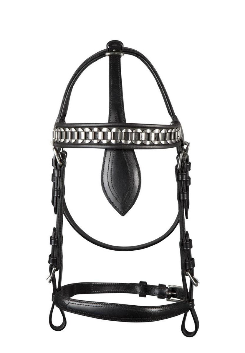 Kopfstück ohne Scheuklappen, Fahrkopfstück, Fahrzaum mit Stirnkette