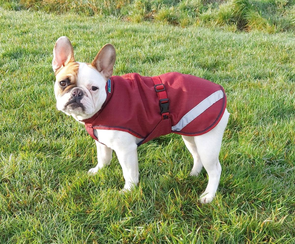 bucas Hundemantel, Hundejacke, 300gr, cherry