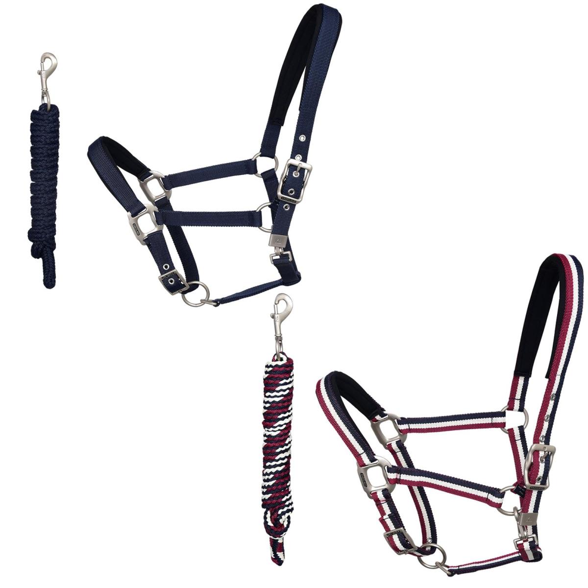 Kingsland Classic Halfter mit Strick, Halfterset