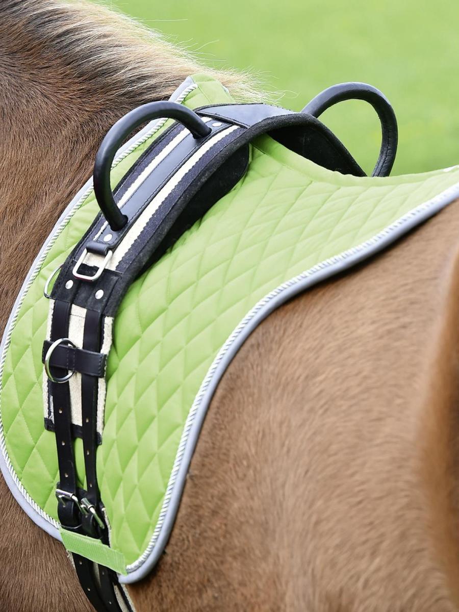 Training Roller DOUBLE