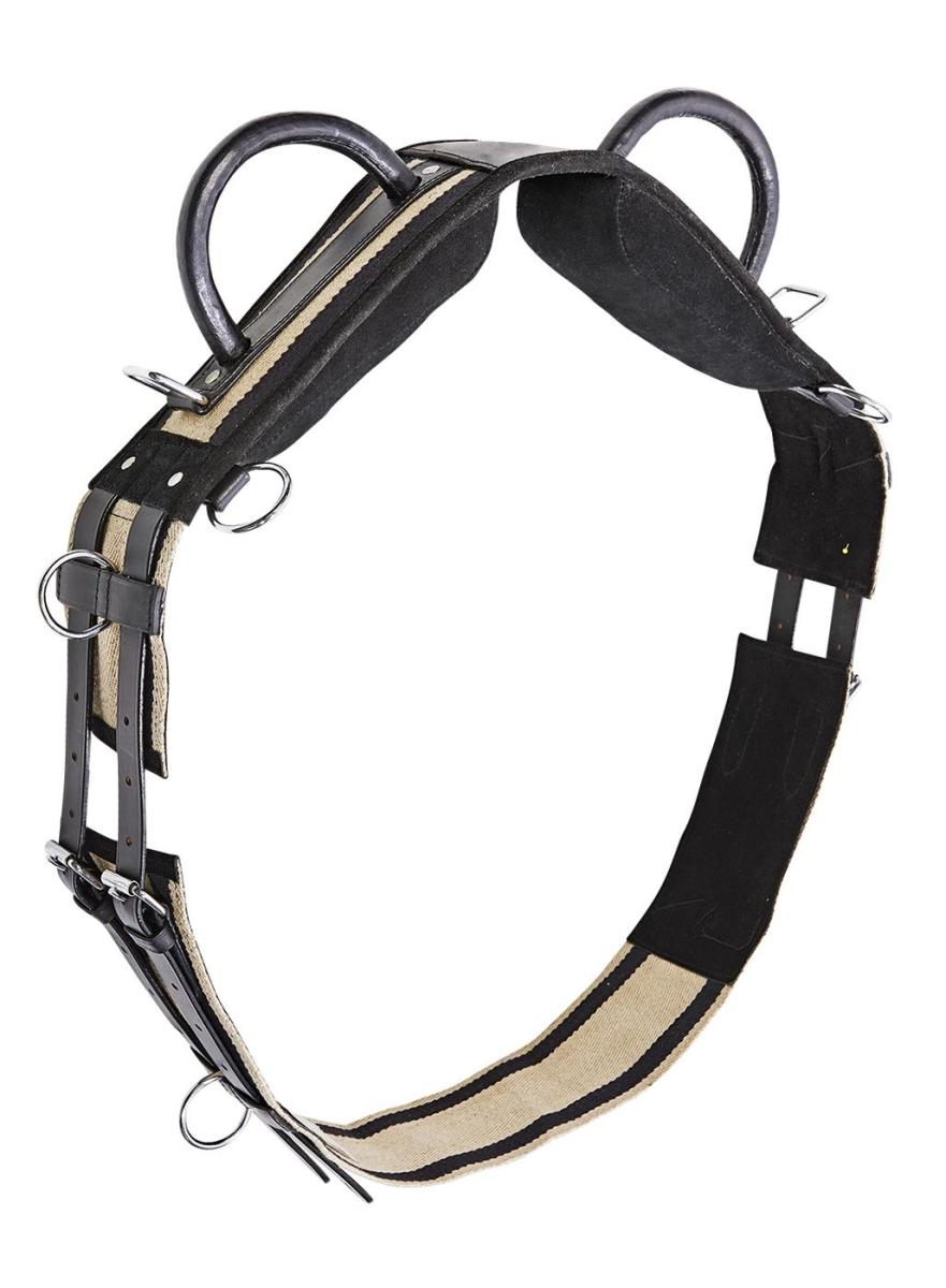 Training Roller DOUBLE