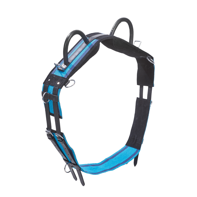 Training Roller DOUBLE