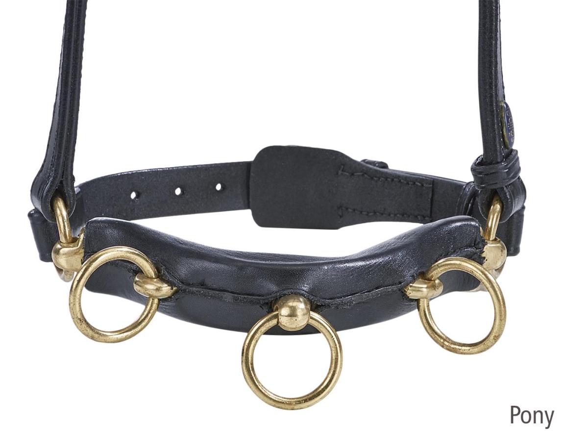 Cavesson PROFESSIONAL