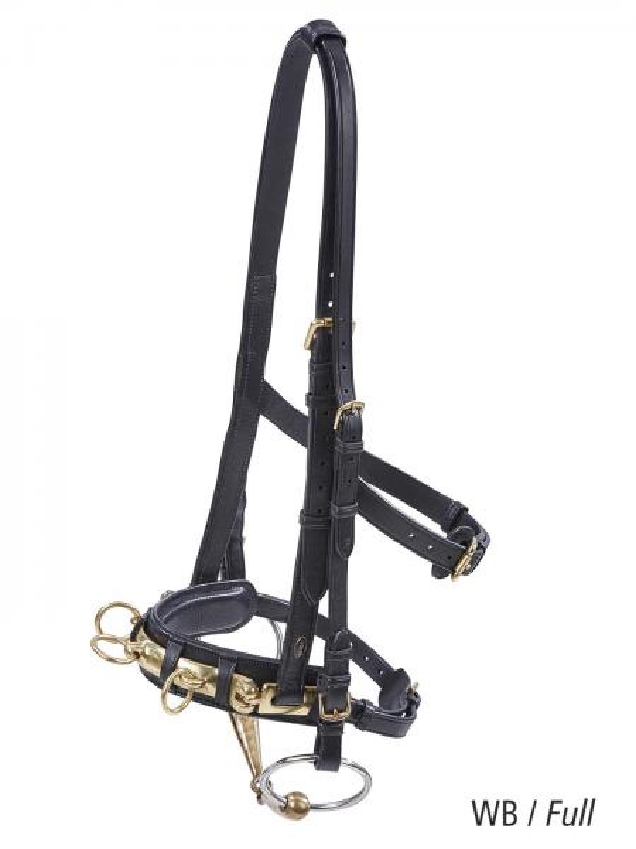 Cavesson PROFESSIONAL