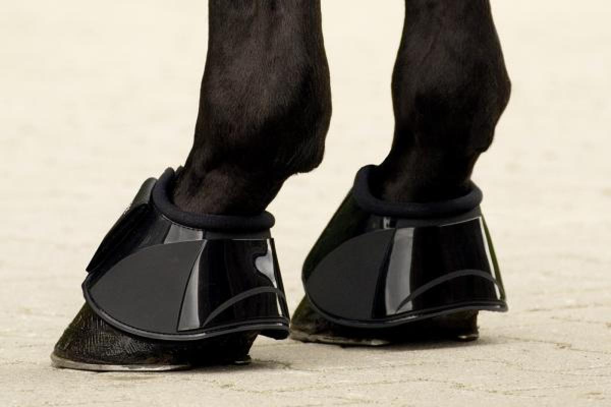 Busse Bell Boots PRO