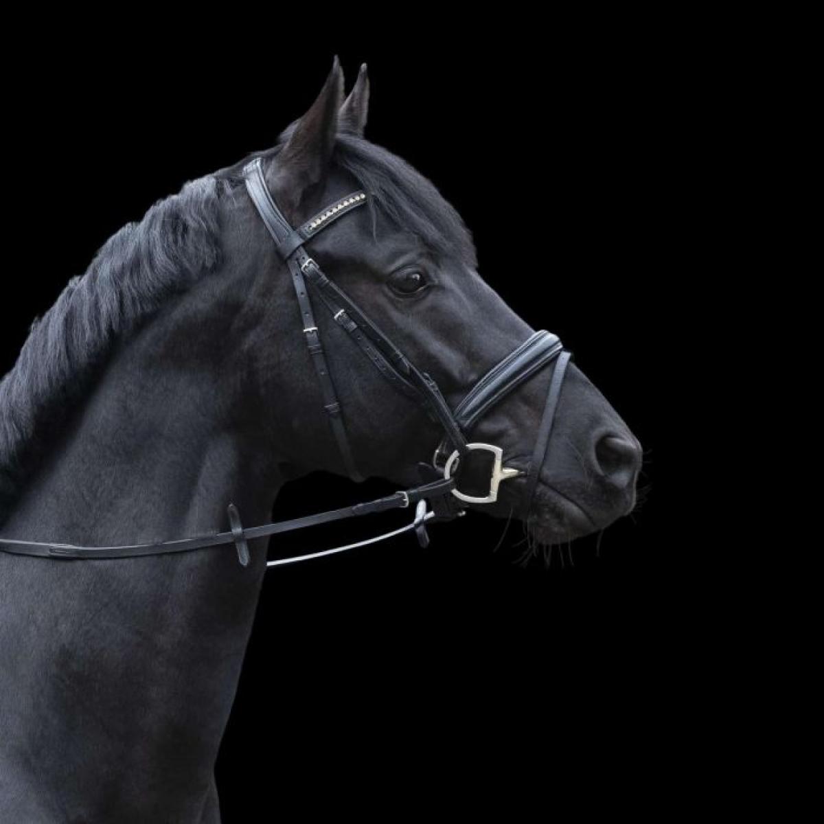 Sprenger novocontact Eggbutt bit with D-shaped rings 16 mm double jointed