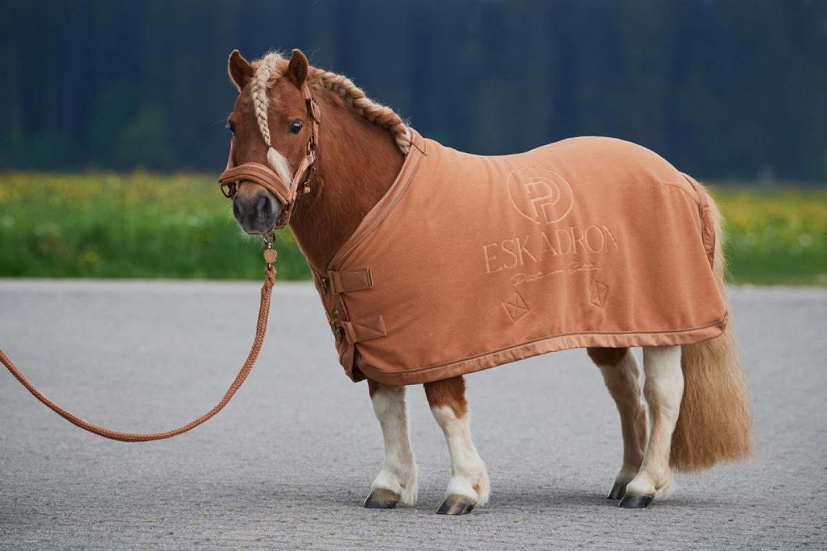 Eskadron Platinum Sweat Rug " FLEECE STAMPED ", SHETTY