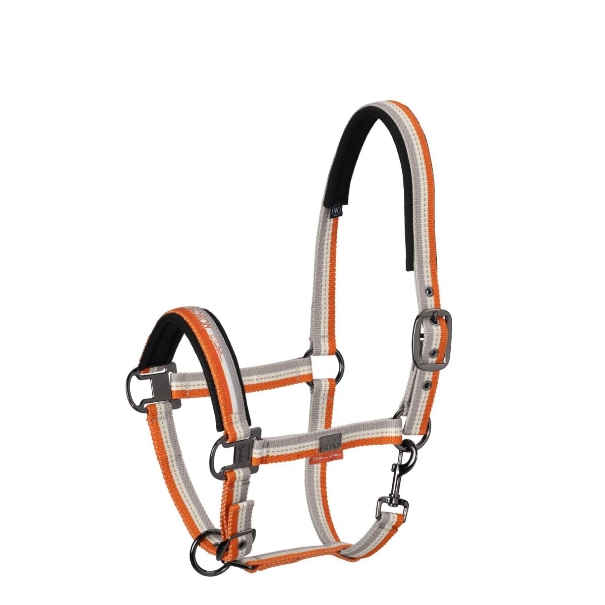 Eskadron Headcollar Platinum  STRIPED