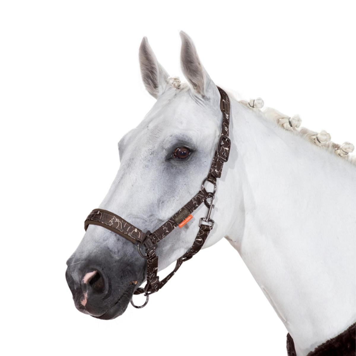 Eskadron Platinum Headcollar " PIN BUCKLE GLOSSY DESSIN "