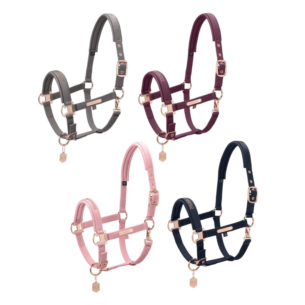 Eskadron HERITAGE Headcoller Pin Buckle, Shetty