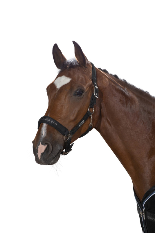 Eskadron Headcollar DOUBLE PIN MESH