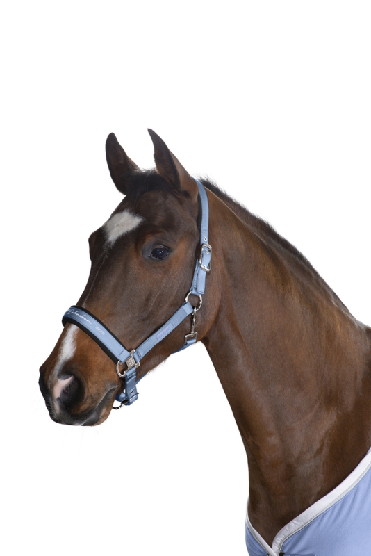 Eskadron Halfter Double Pin GLOSSY   " Classic Sports  "