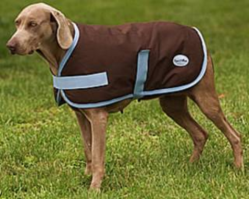 Hundedecke, Hundemantel, Hundejacke, Aircool