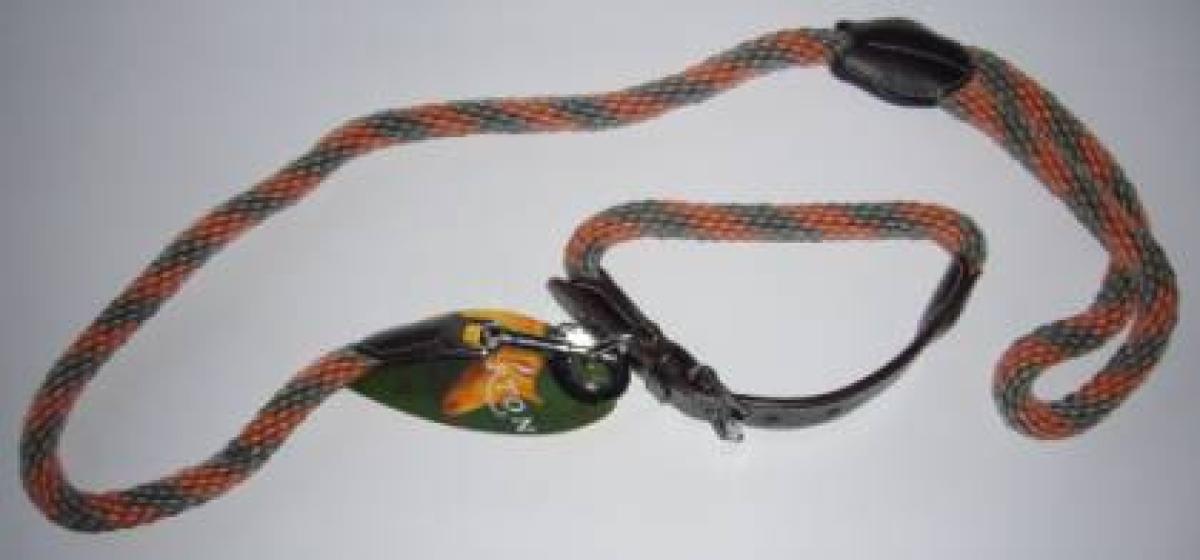 Hundehalsband, Hundeleine im Set
