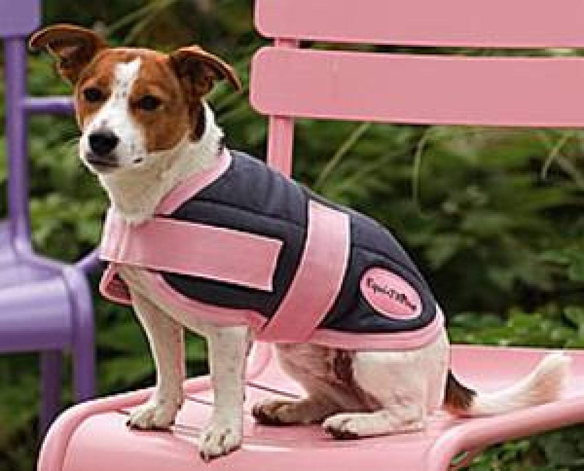 Hundedecke, Hundemantel, Hundejacke, Nylon