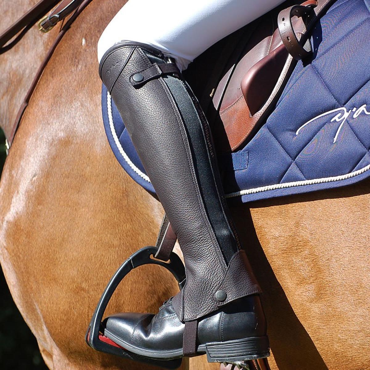 Dy`on Half-chaps Dyon Classic