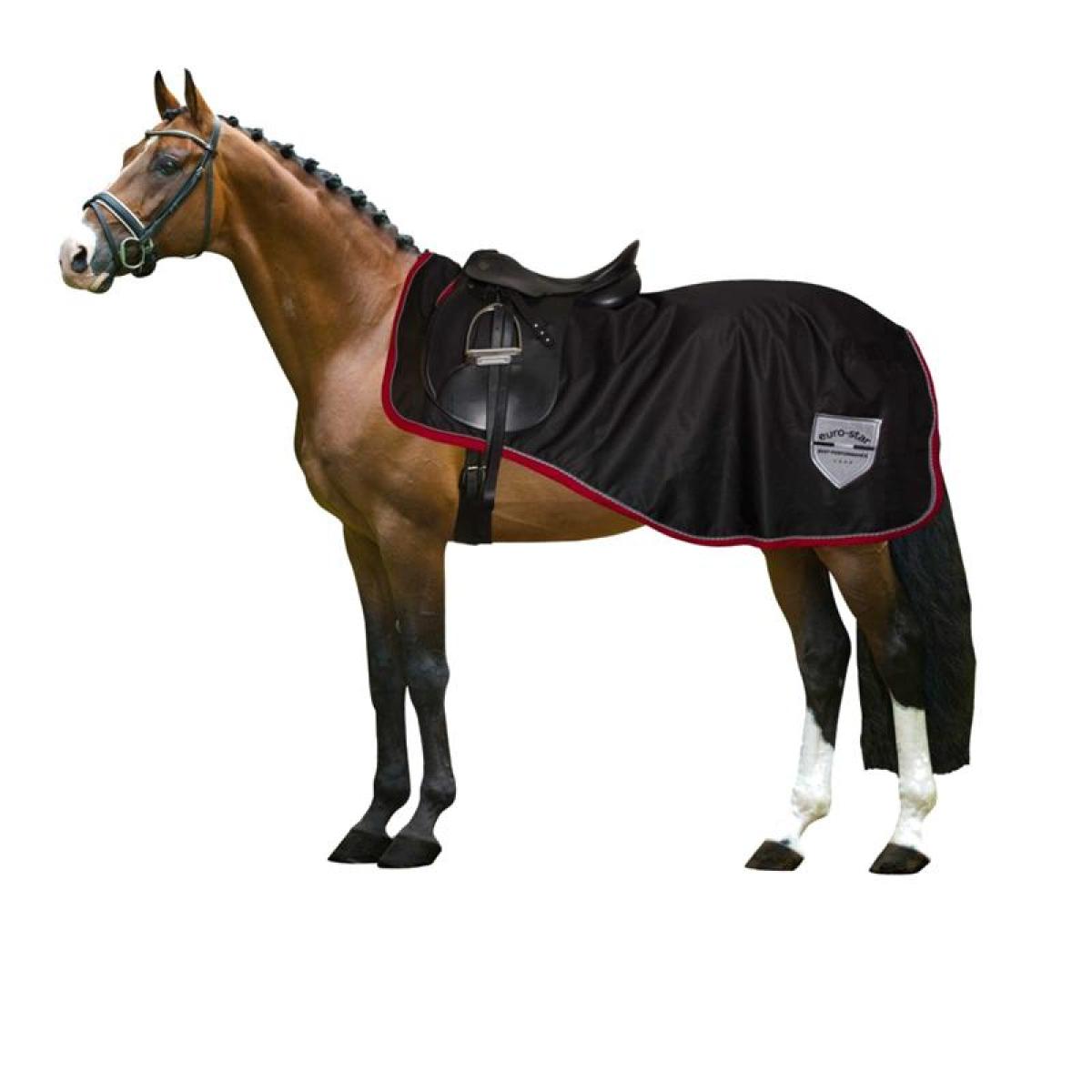 eurostar Outdoor Exercise Blanket, black, 145cm