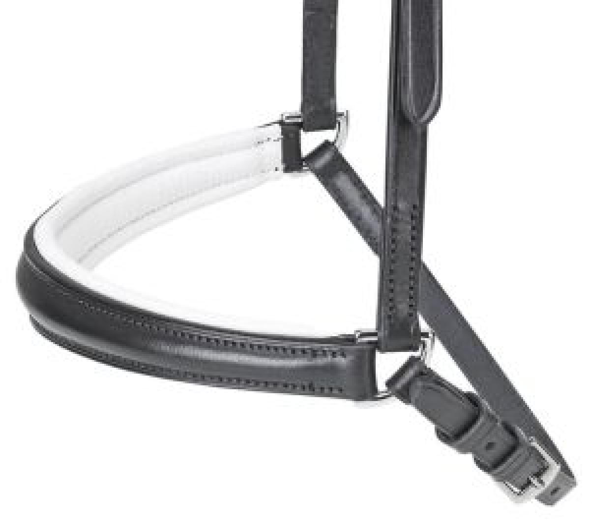 Dropped Noseband HANNOVER