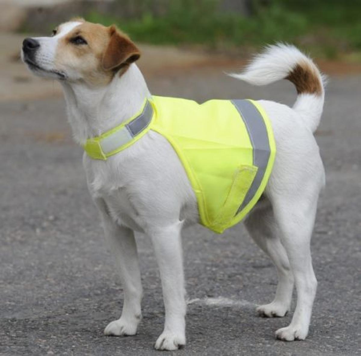 bucas DOG RUG " SAFETY VEST "