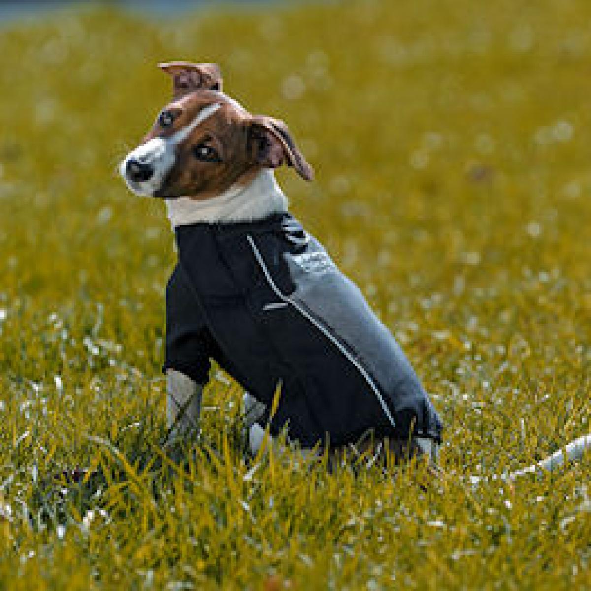 Eskadron DOG RUG  " SOFTSHELL "